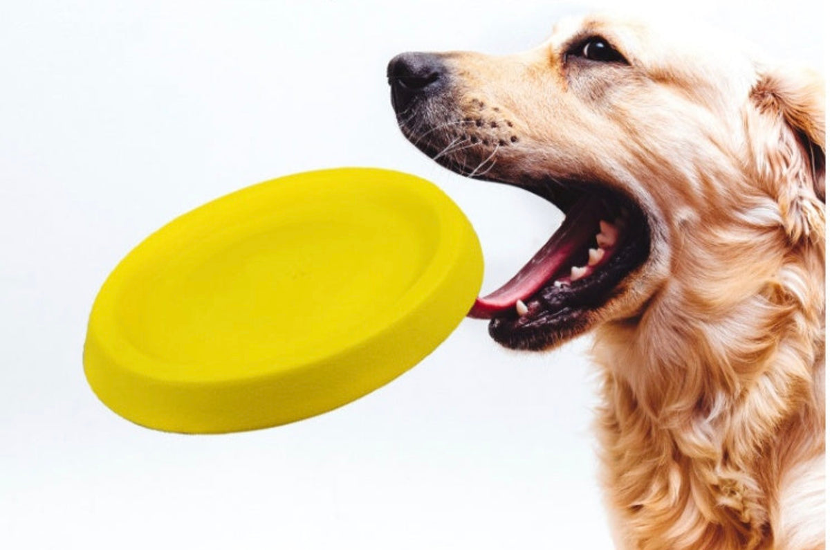Pet toys