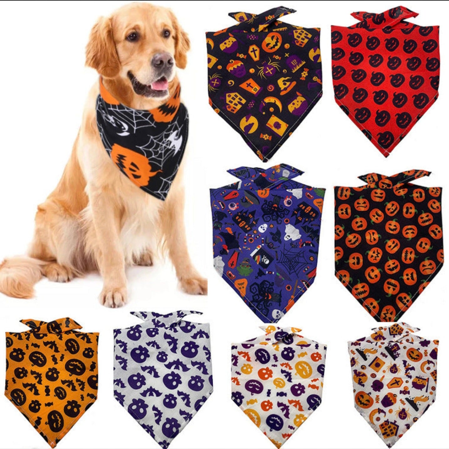 Pets accessories