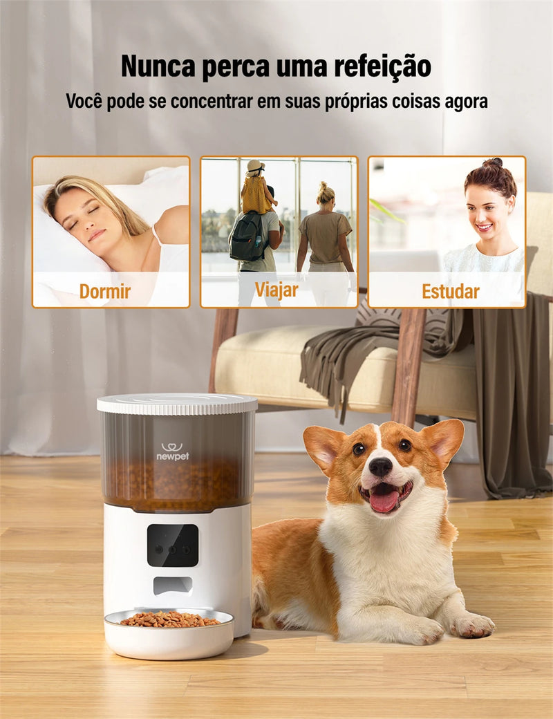 Alimentador para gatos e cães, Dispensador automático de alimentação